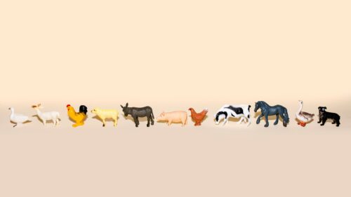 Hoe ga je Om met dierenleed en de reacties van anderen?